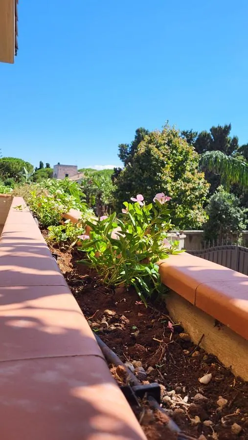Villa Rosa Palermo Bed and breakfast