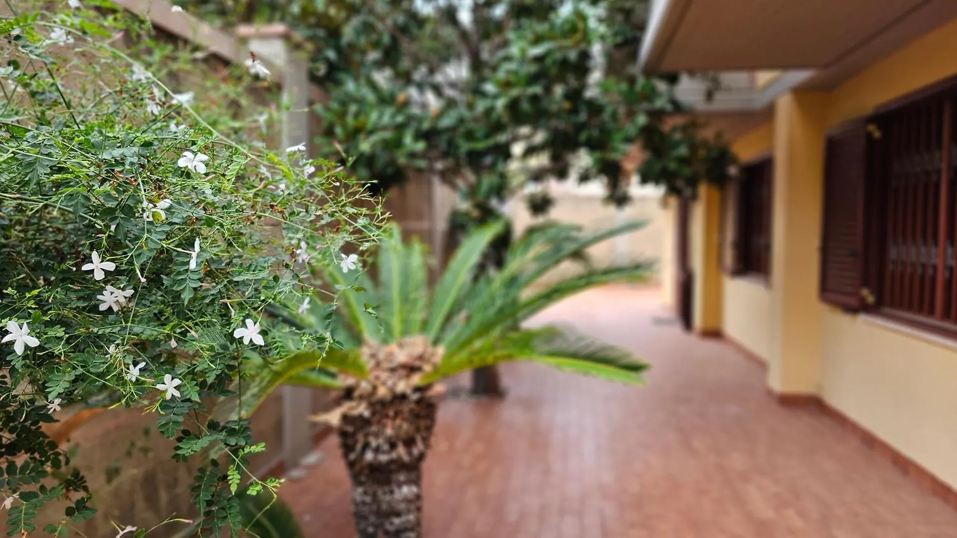 Bed and breakfast Villa Rosa Palermo